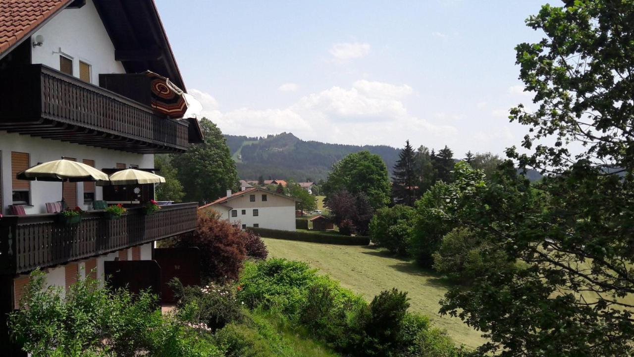 Ferienwohnung-panoramablick-4 Bodenmais